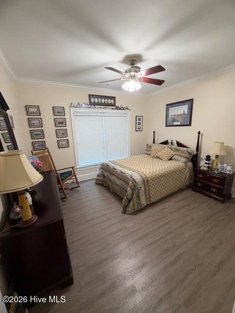 138 Trestle Street Property Photo 38