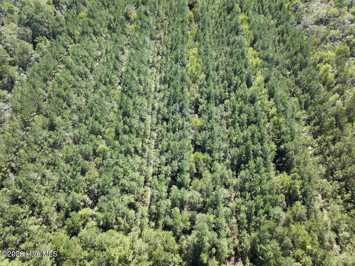 00 Hwy 258 S Property Photo 7