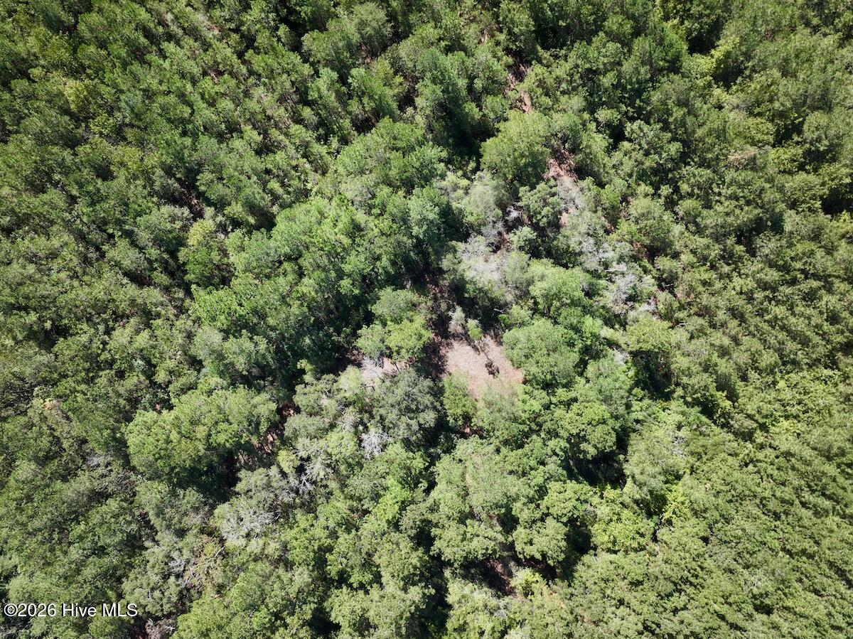 00 Hwy 258 S Property Photo 8