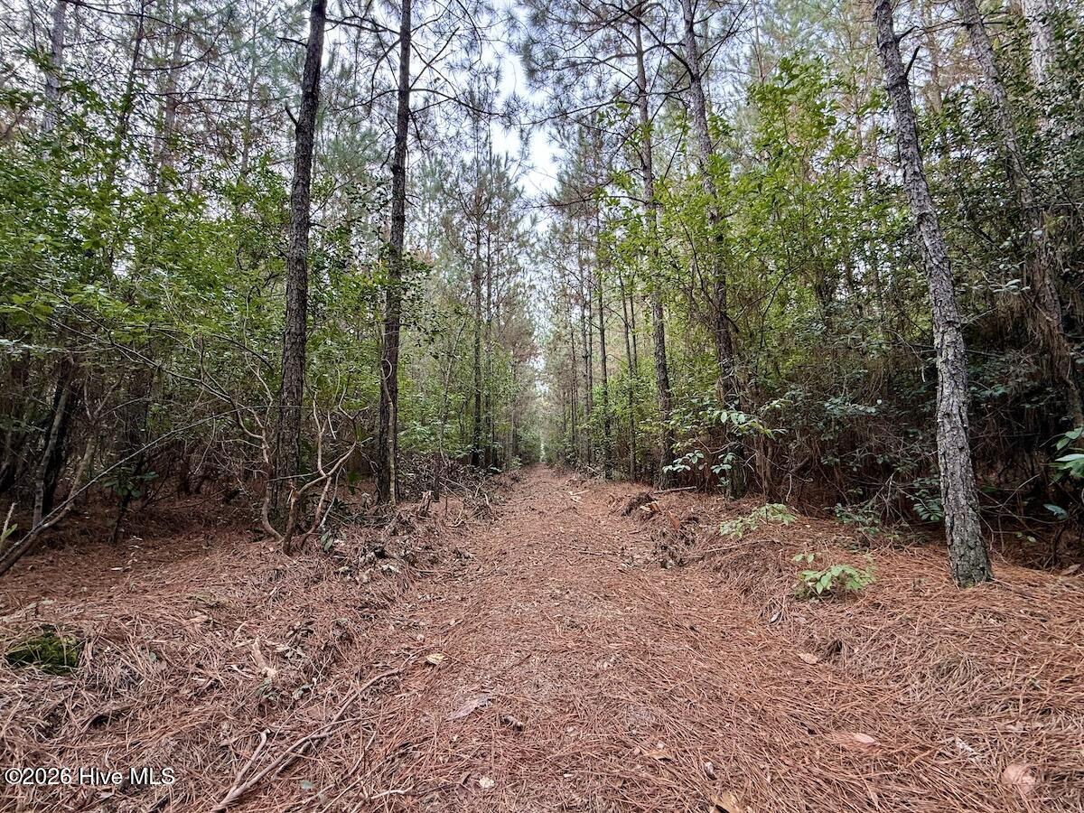 00 Hwy 258 S Property Photo 10