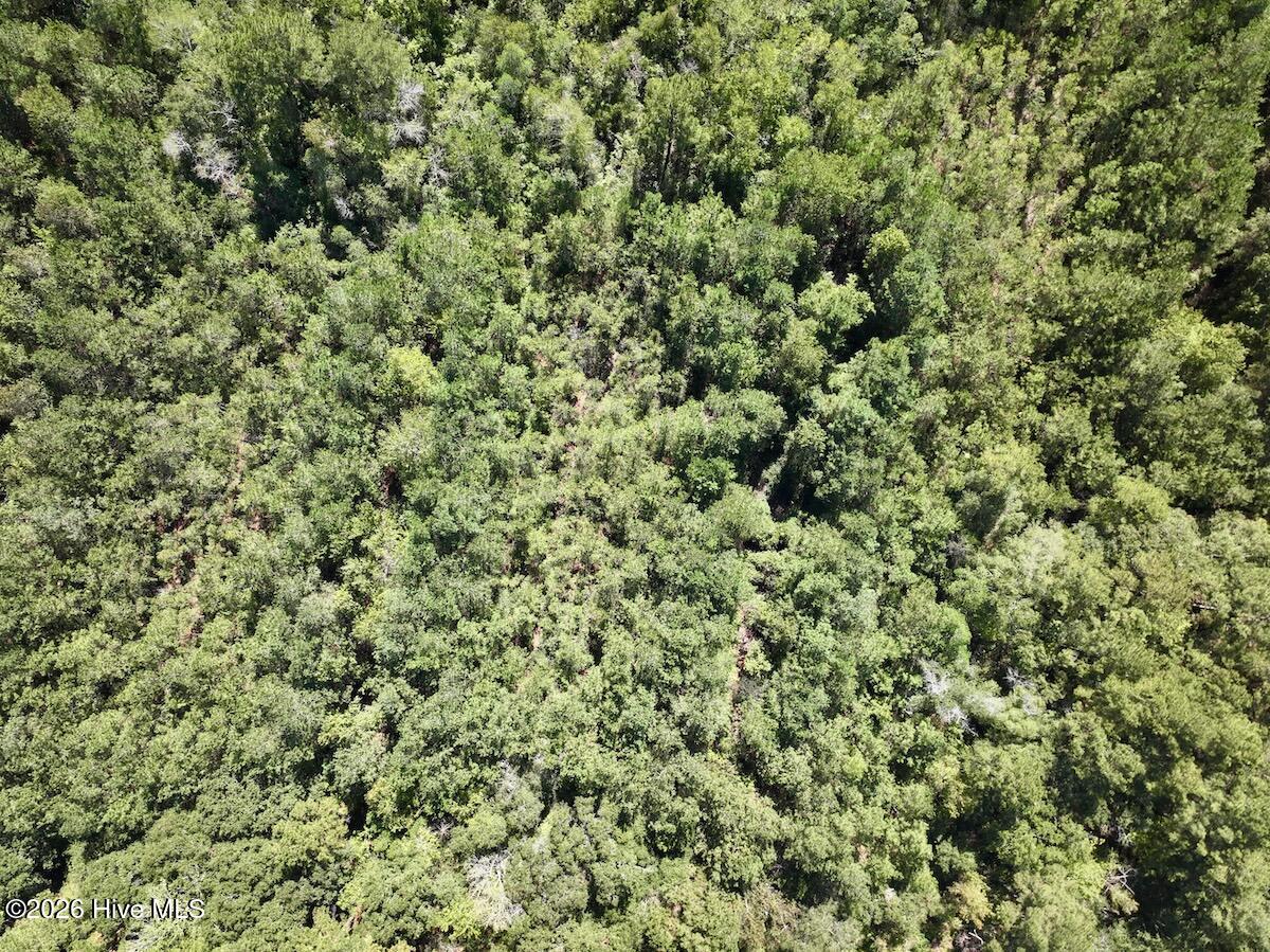 00 Hwy 258 S Property Photo 13