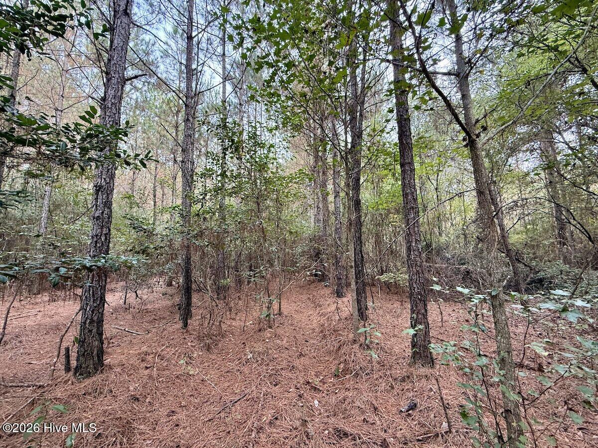 00 Hwy 258 S Property Photo 14