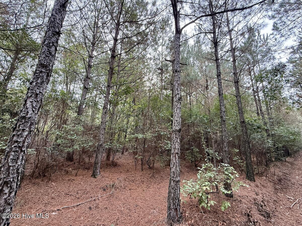 00 Hwy 258 S Property Photo 15