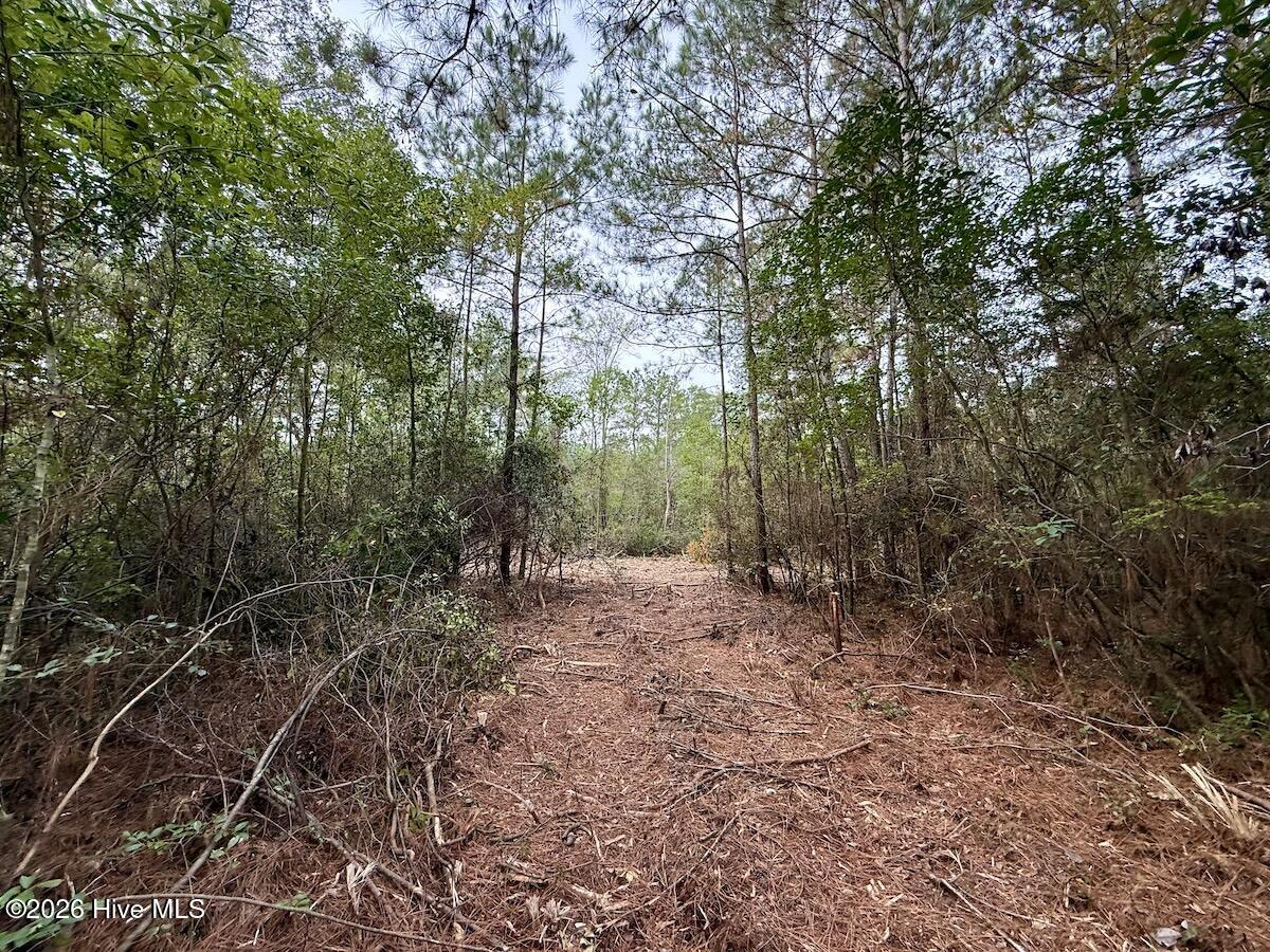 00 Hwy 258 S Property Photo 16