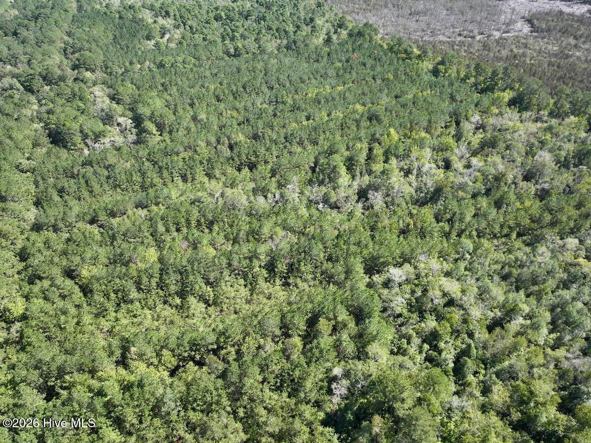 00 Hwy 258 S Property Photo 17