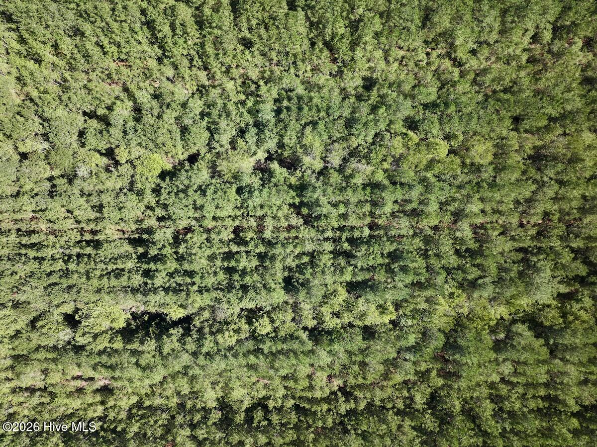 00 Hwy 258 S Property Photo 19