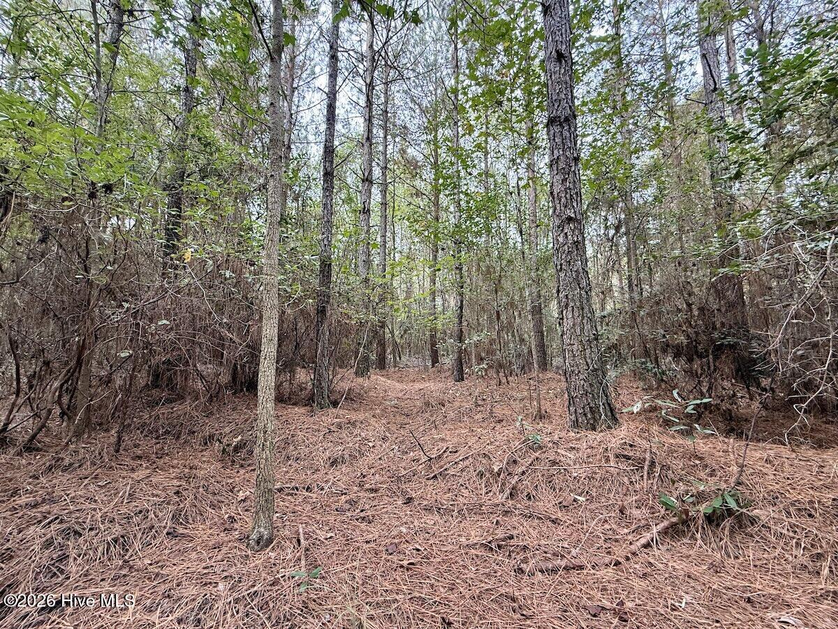 00 Hwy 258 S Property Photo 23