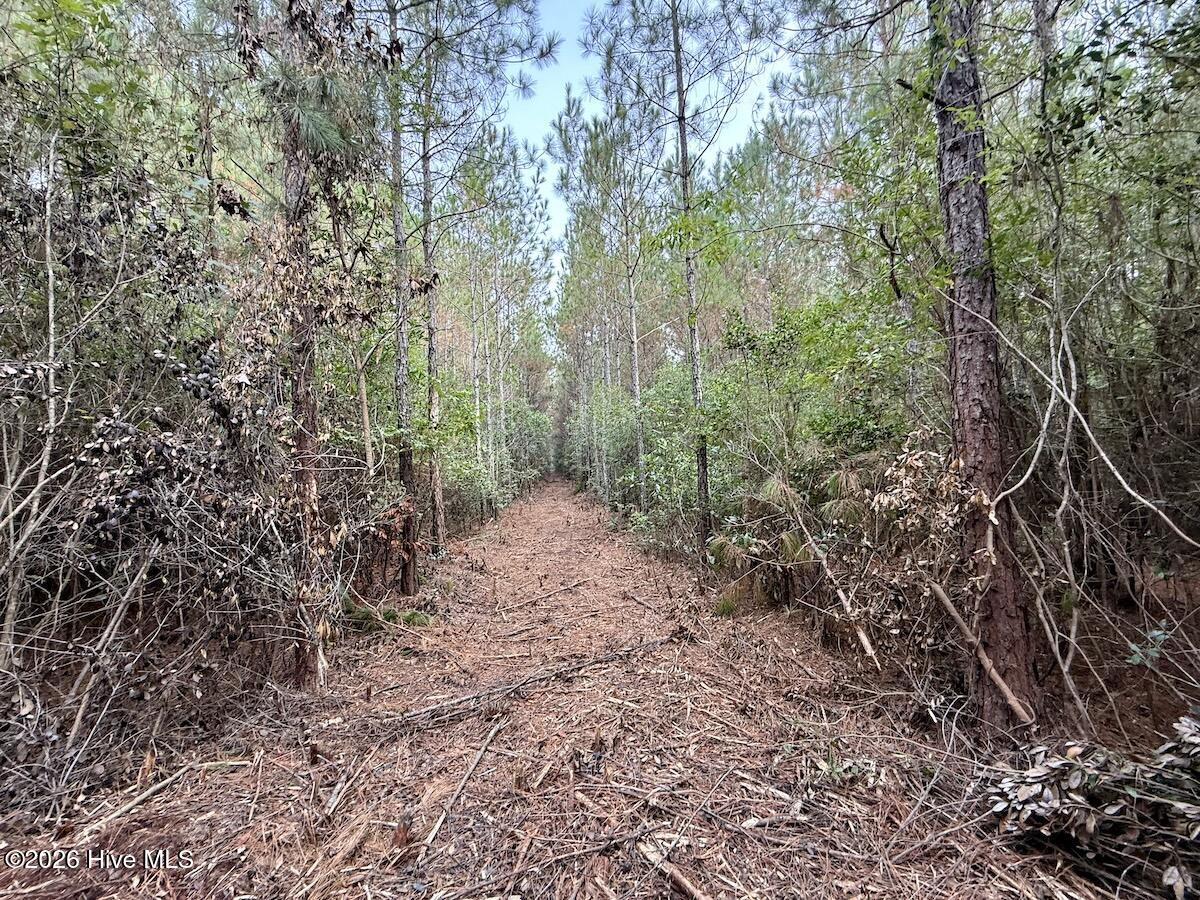 00 Hwy 258 S Property Photo 25