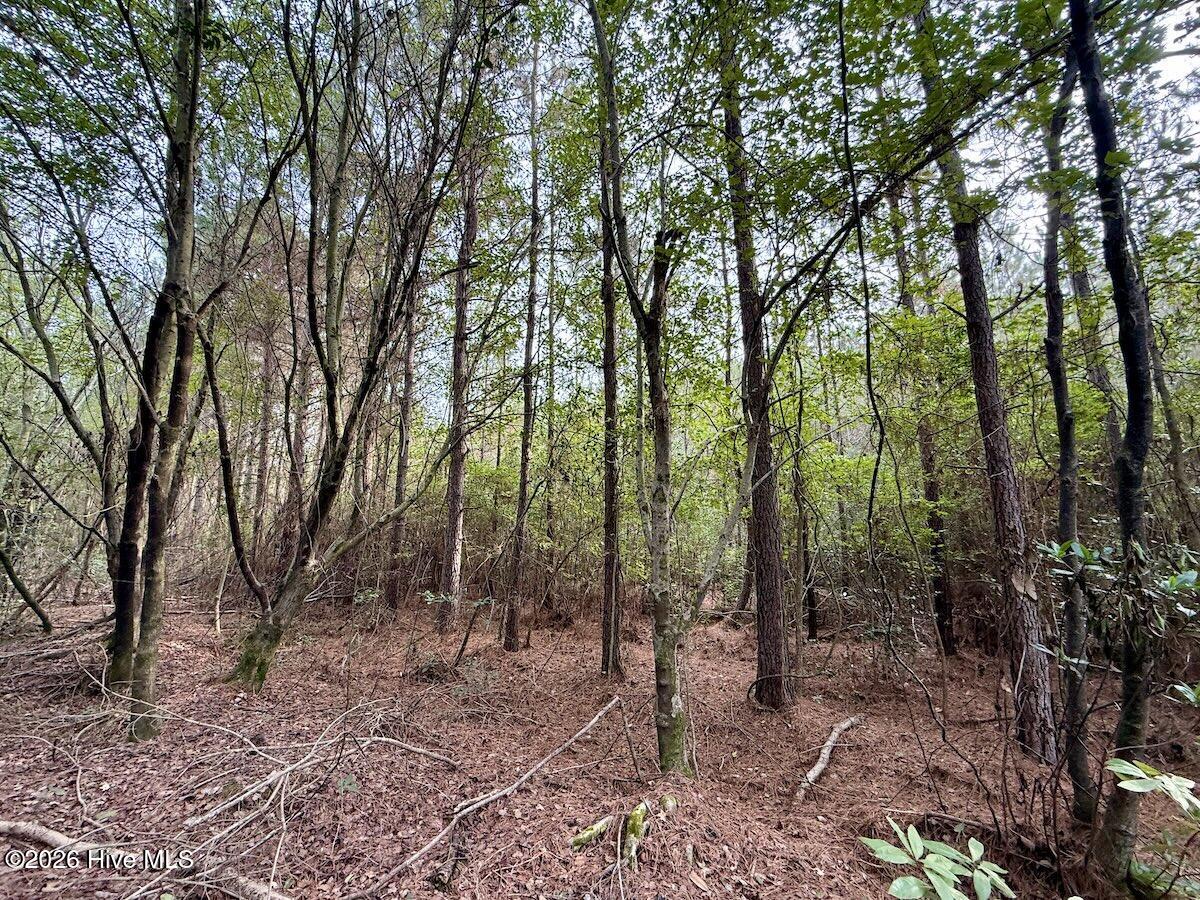 00 Hwy 258 S Property Photo 34