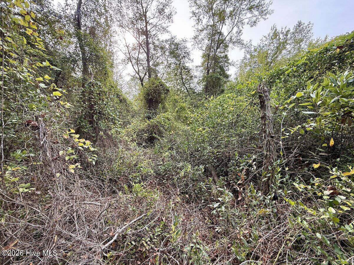 00 Hwy 258 S Property Photo 37