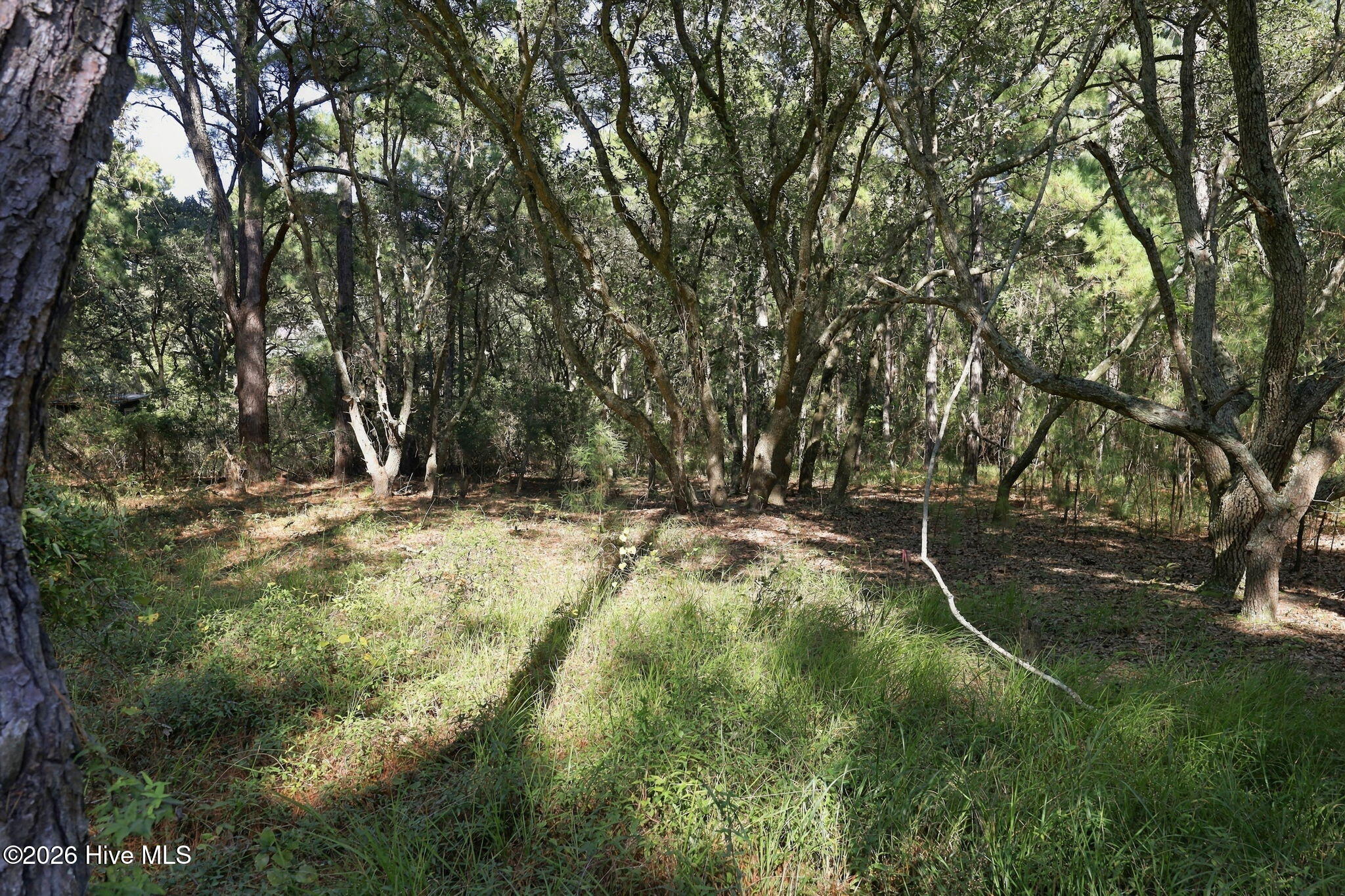 2393 22 Ocean Pearl Road Property Photo 9