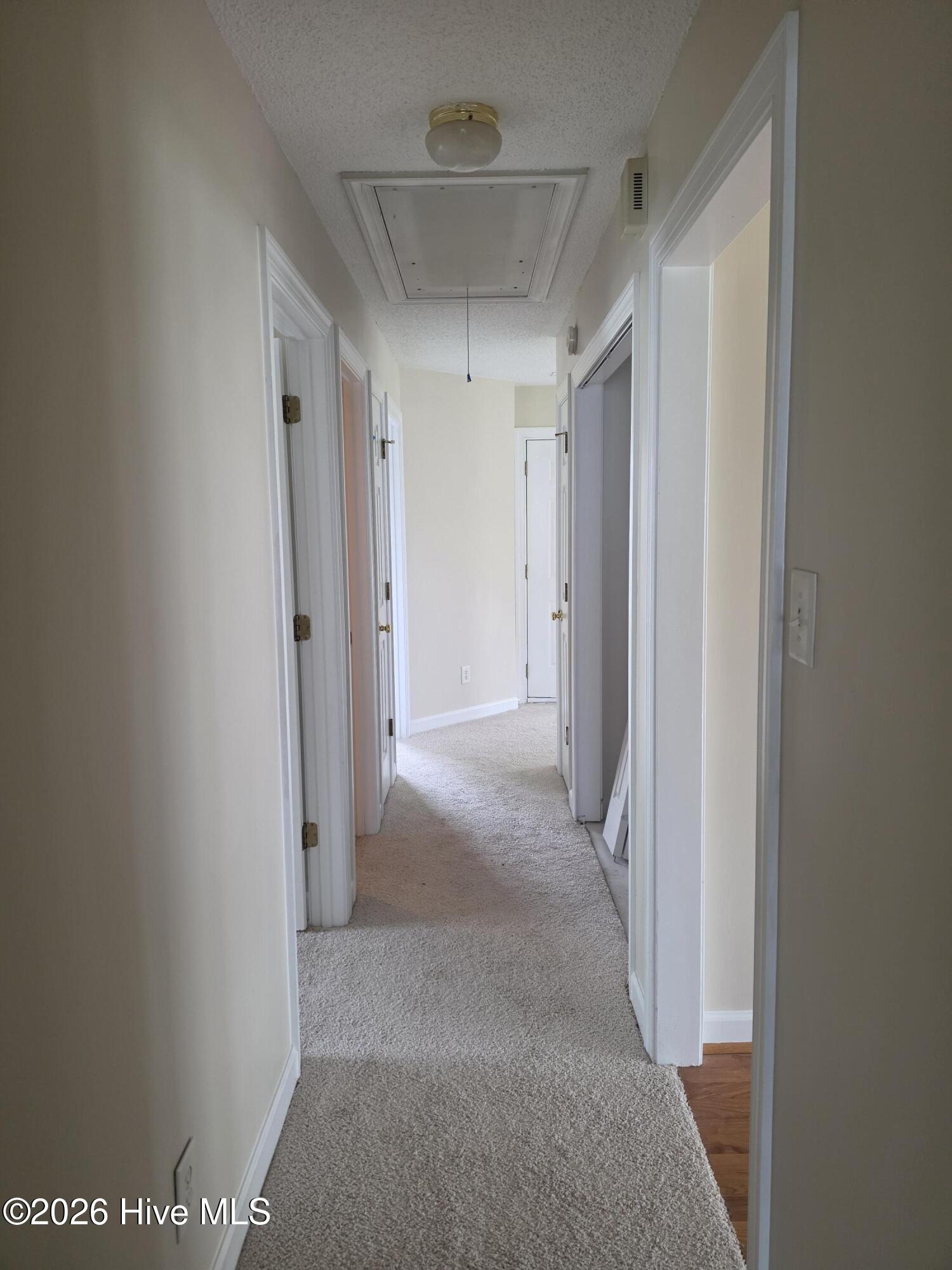 1616 Greys Mill Road Property Photo 5