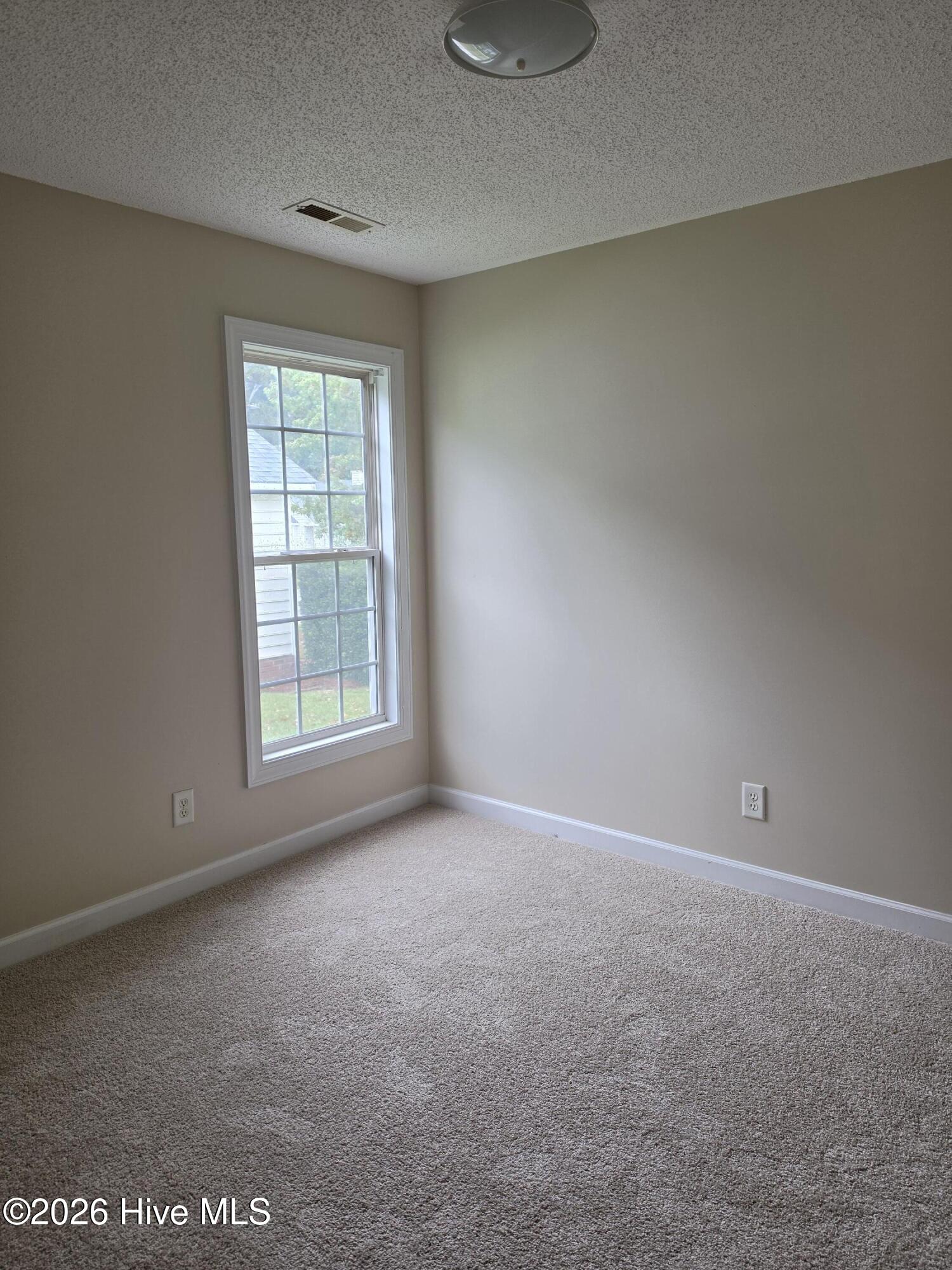 1616 Greys Mill Road Property Photo 9