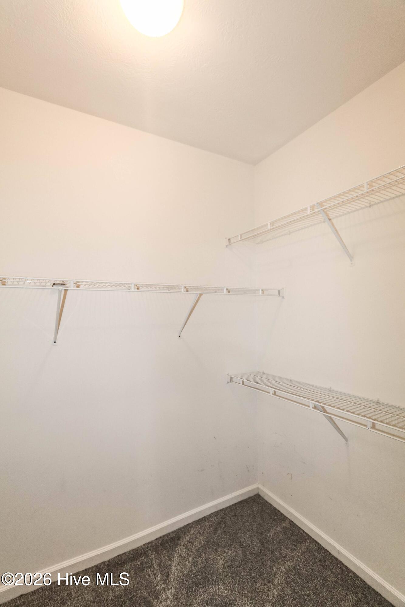 4704 Park Ridge Court Property Photo 37
