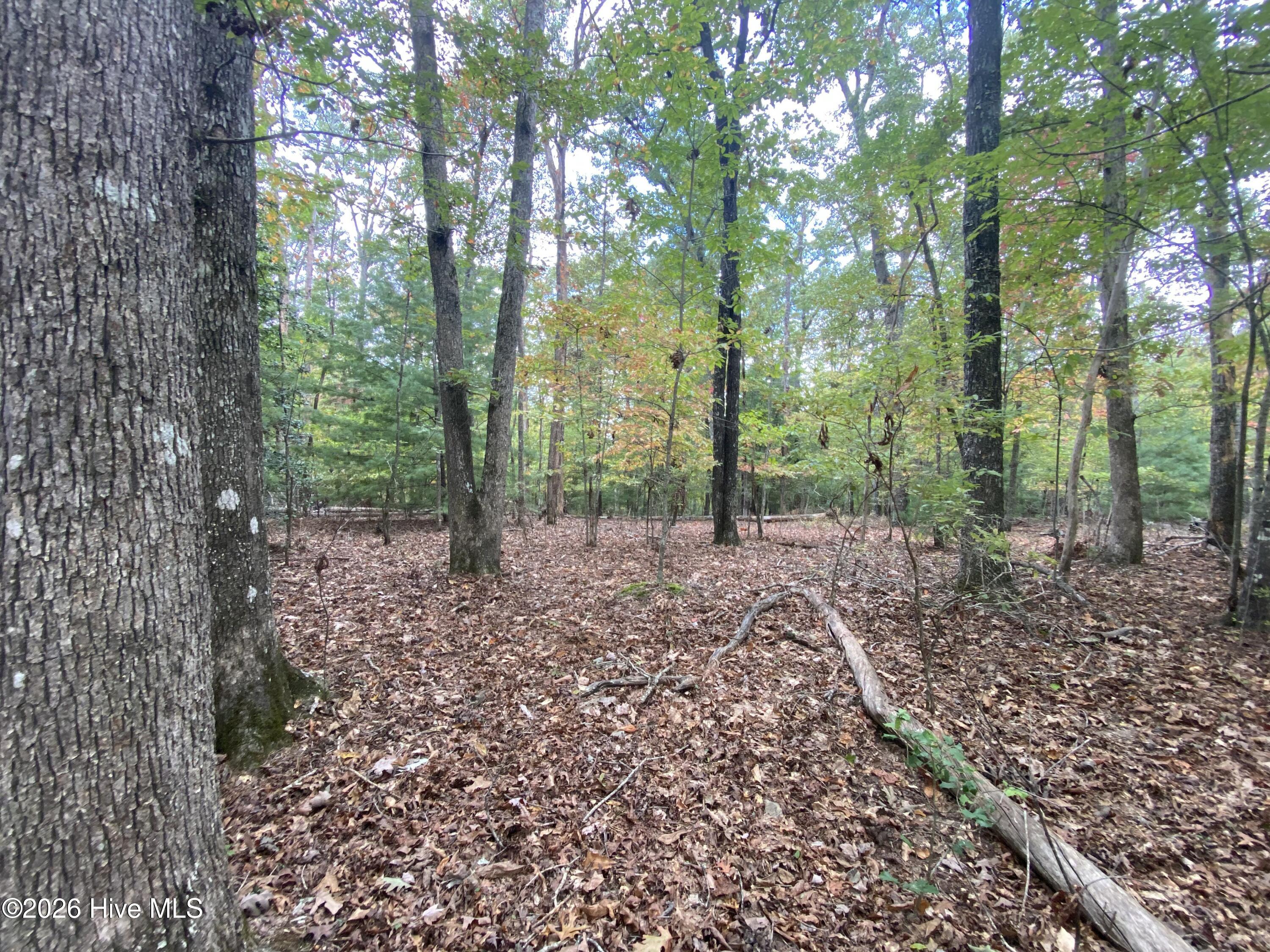 14 14 Mission Ridge Property Photo 7