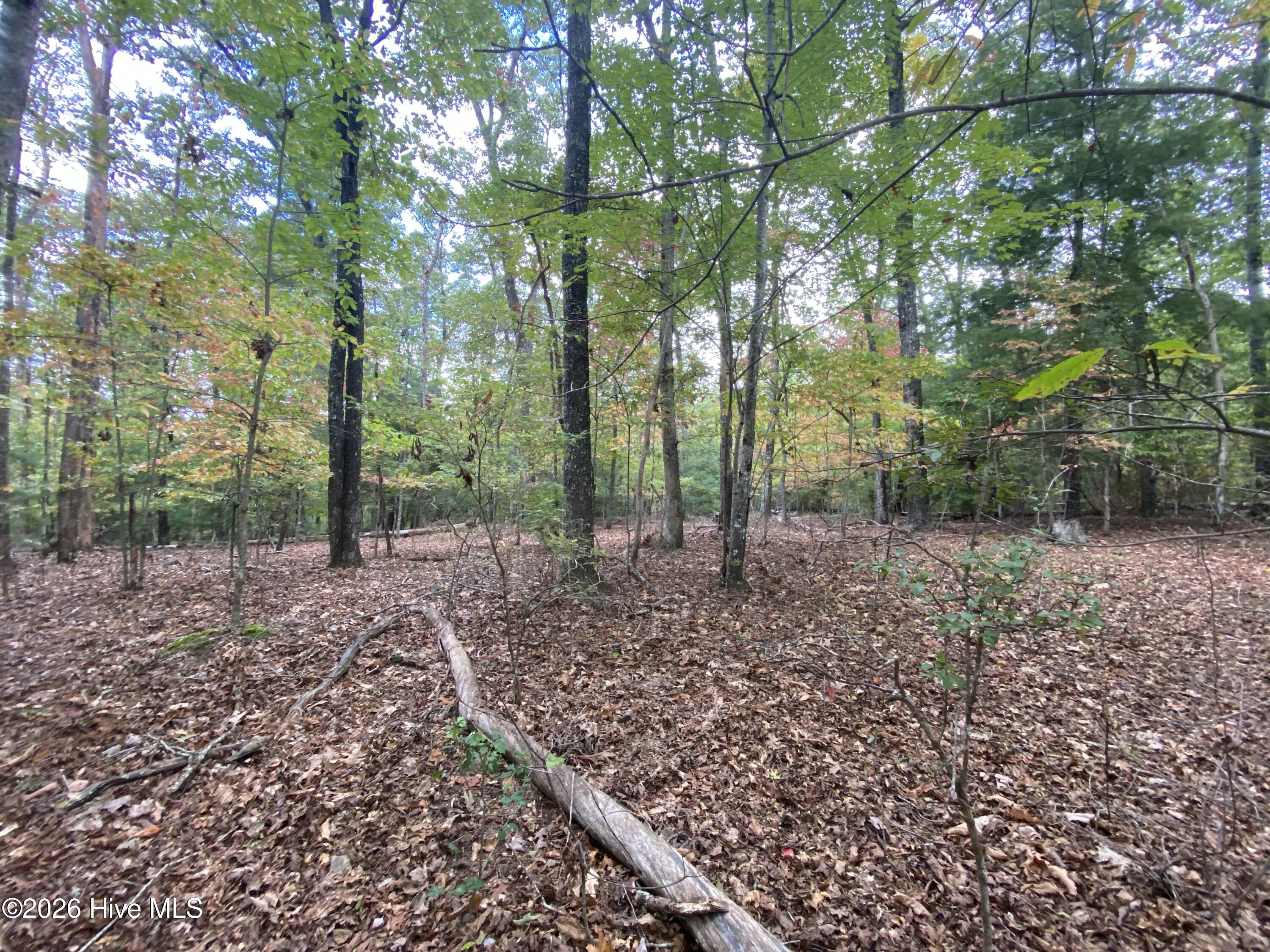 14 14 Mission Ridge Property Photo 8