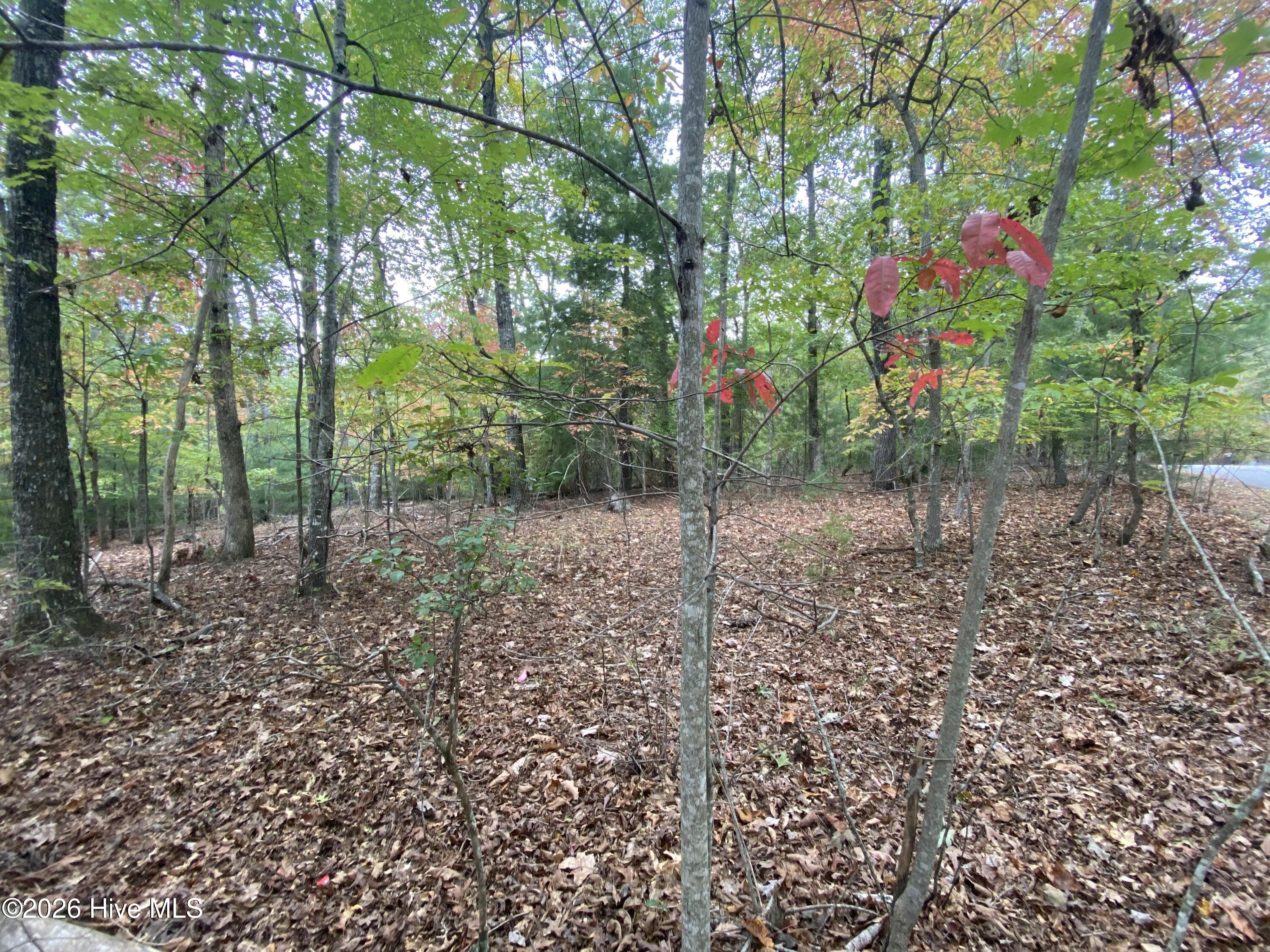 14 14 Mission Ridge Property Photo 9