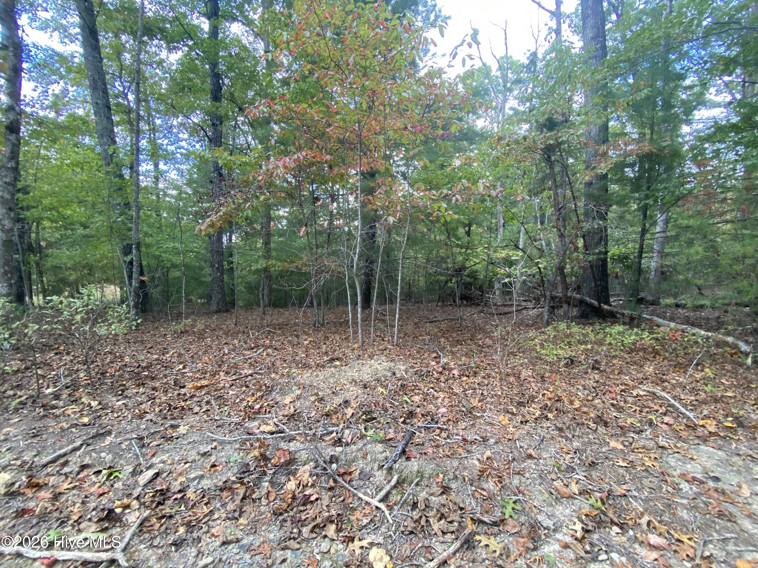 14 14 Mission Ridge Property Photo 12