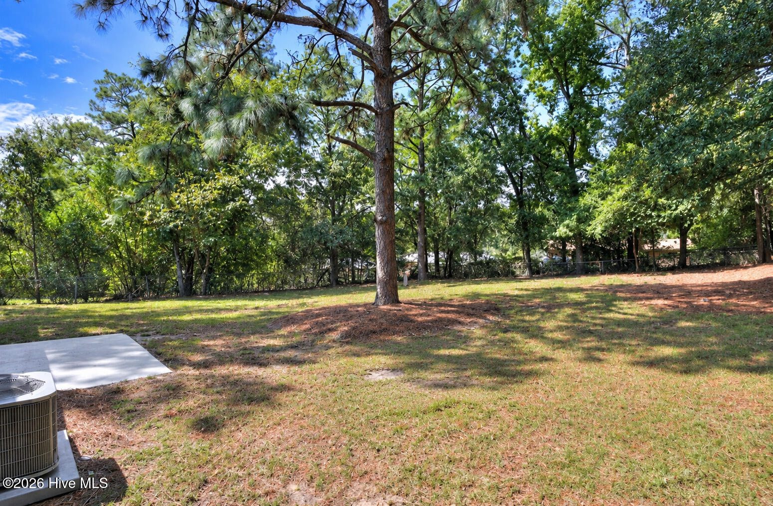 3407 Charing Cross Court Property Photo 34