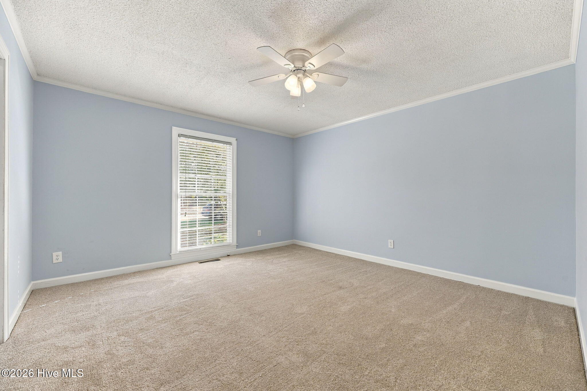 109 Hardee Street Property Photo 37