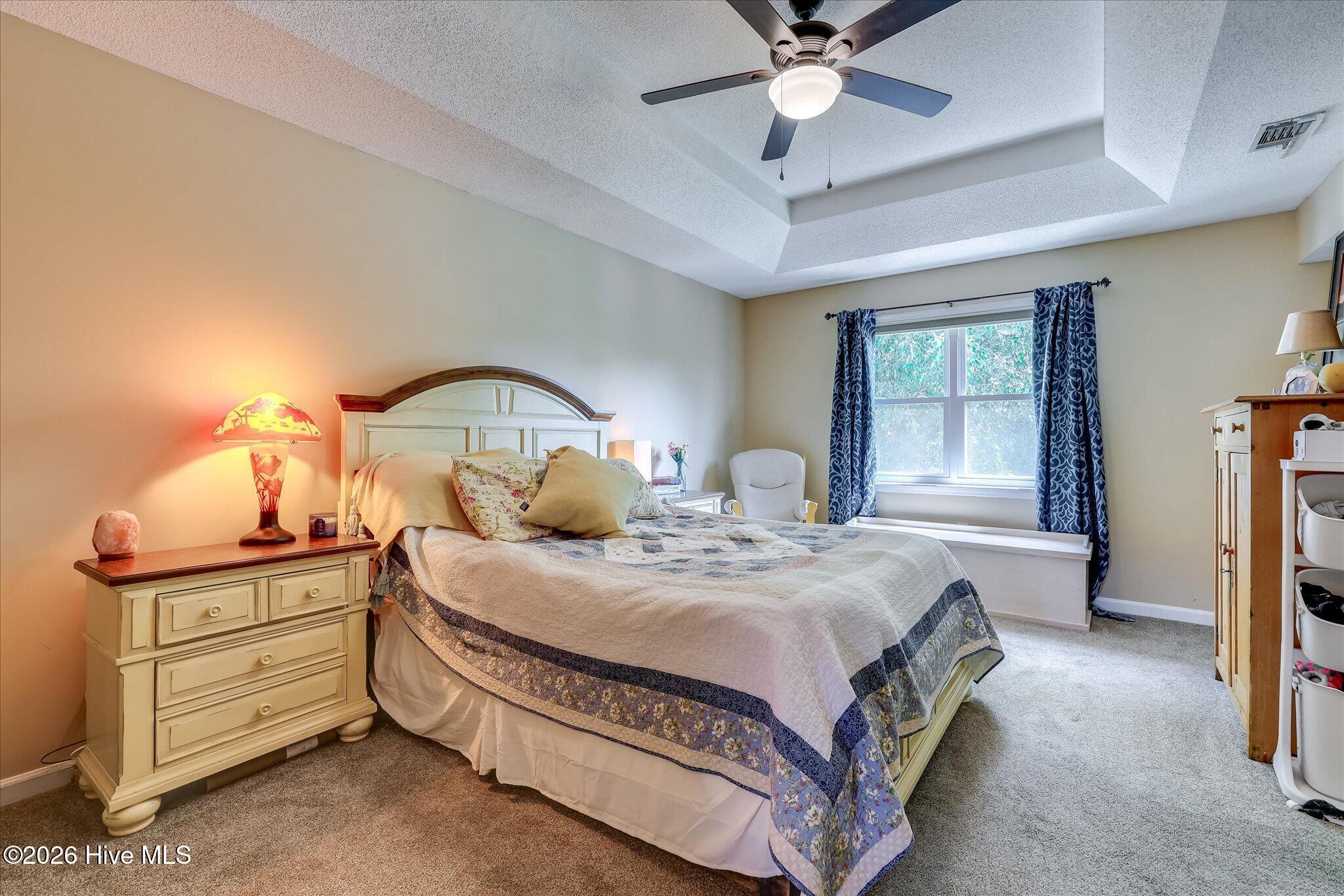 537 Blue Ridge Crossing Property Photo 28