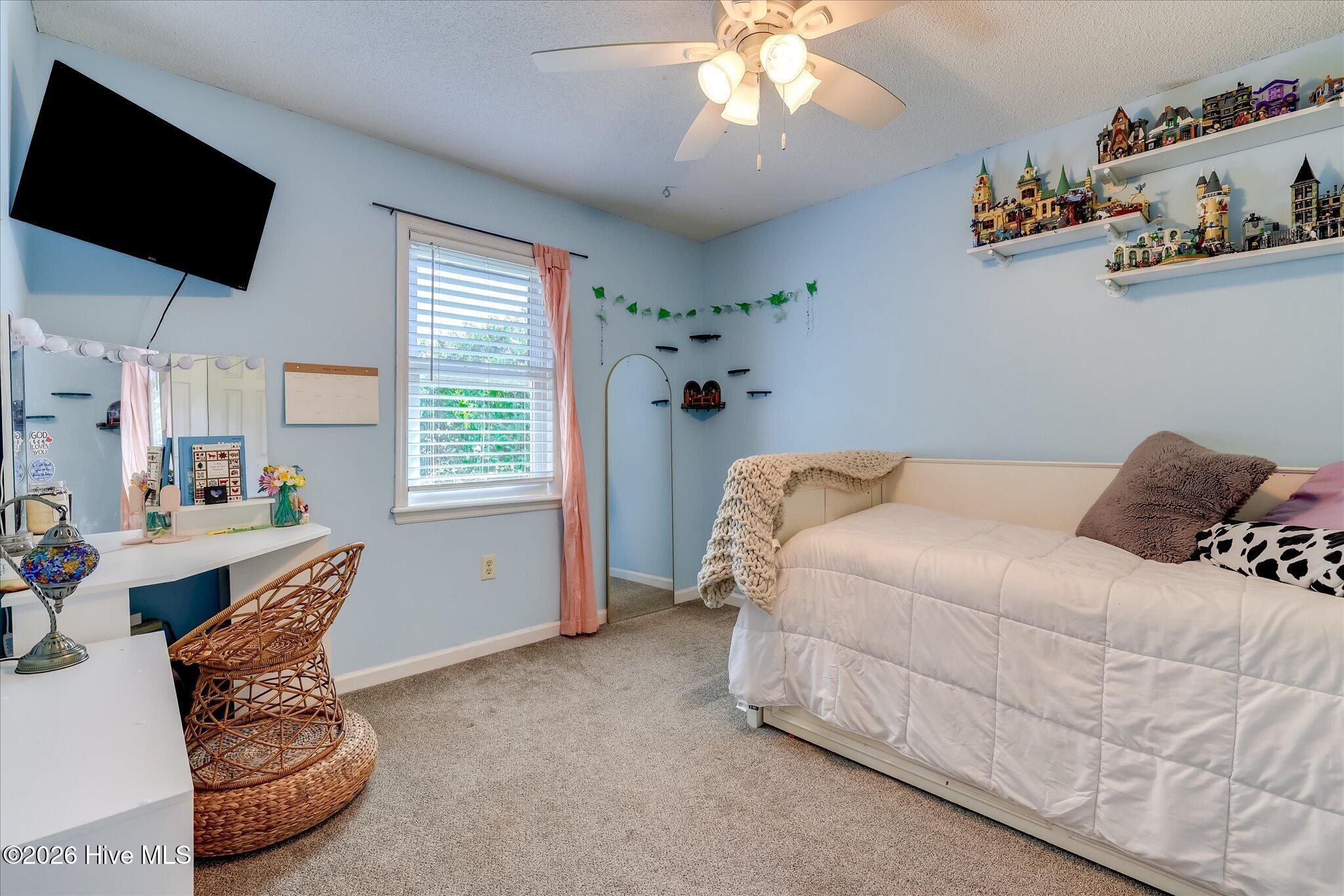 537 Blue Ridge Crossing Property Photo 37