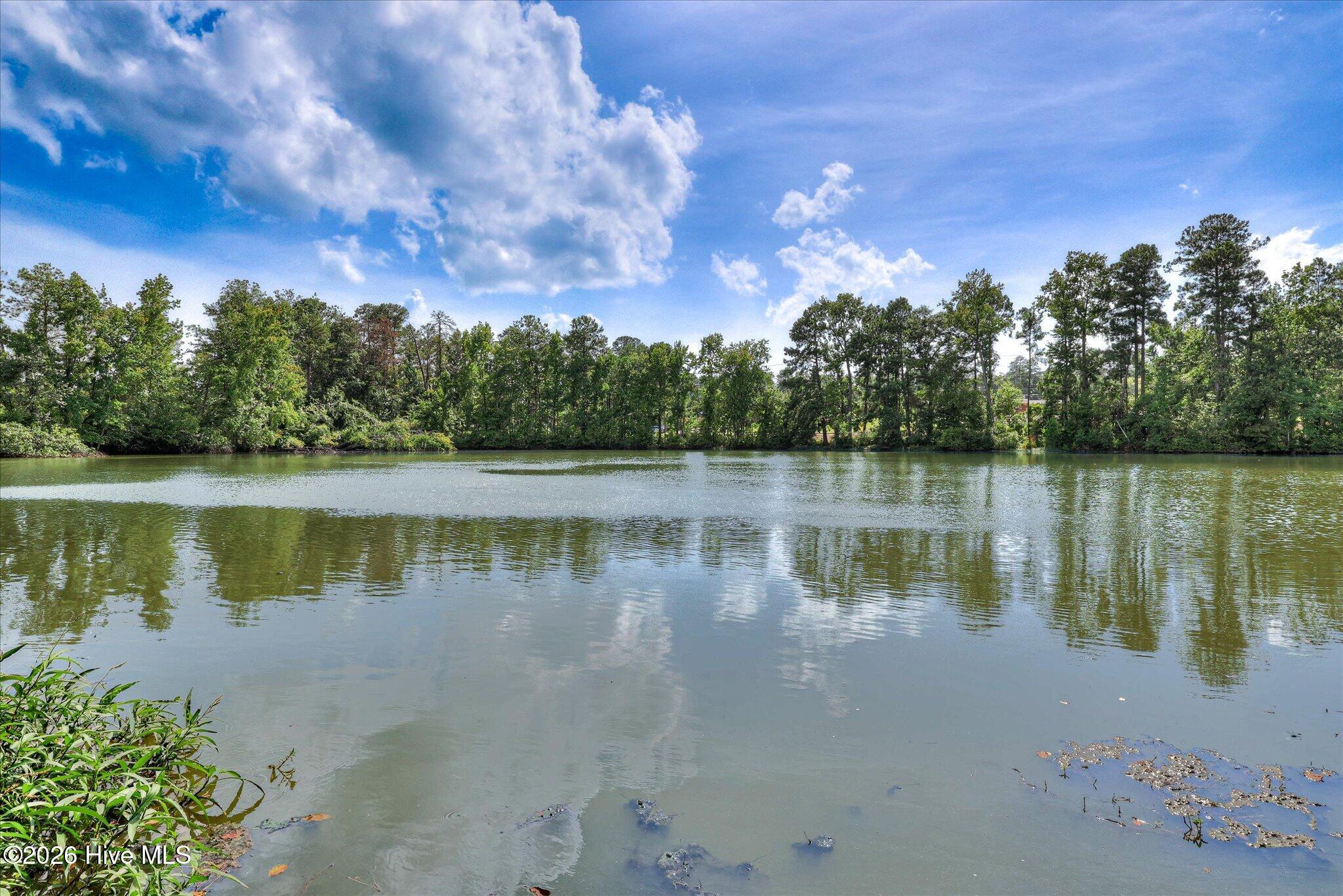 537 Blue Ridge Crossing Property Photo 42