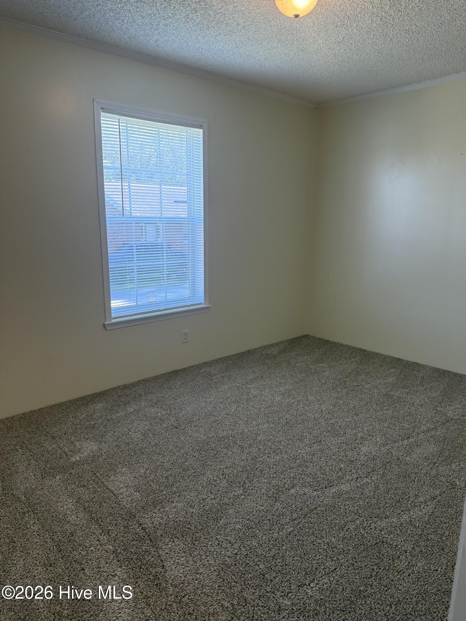 121 Darden Street Property Photo 20