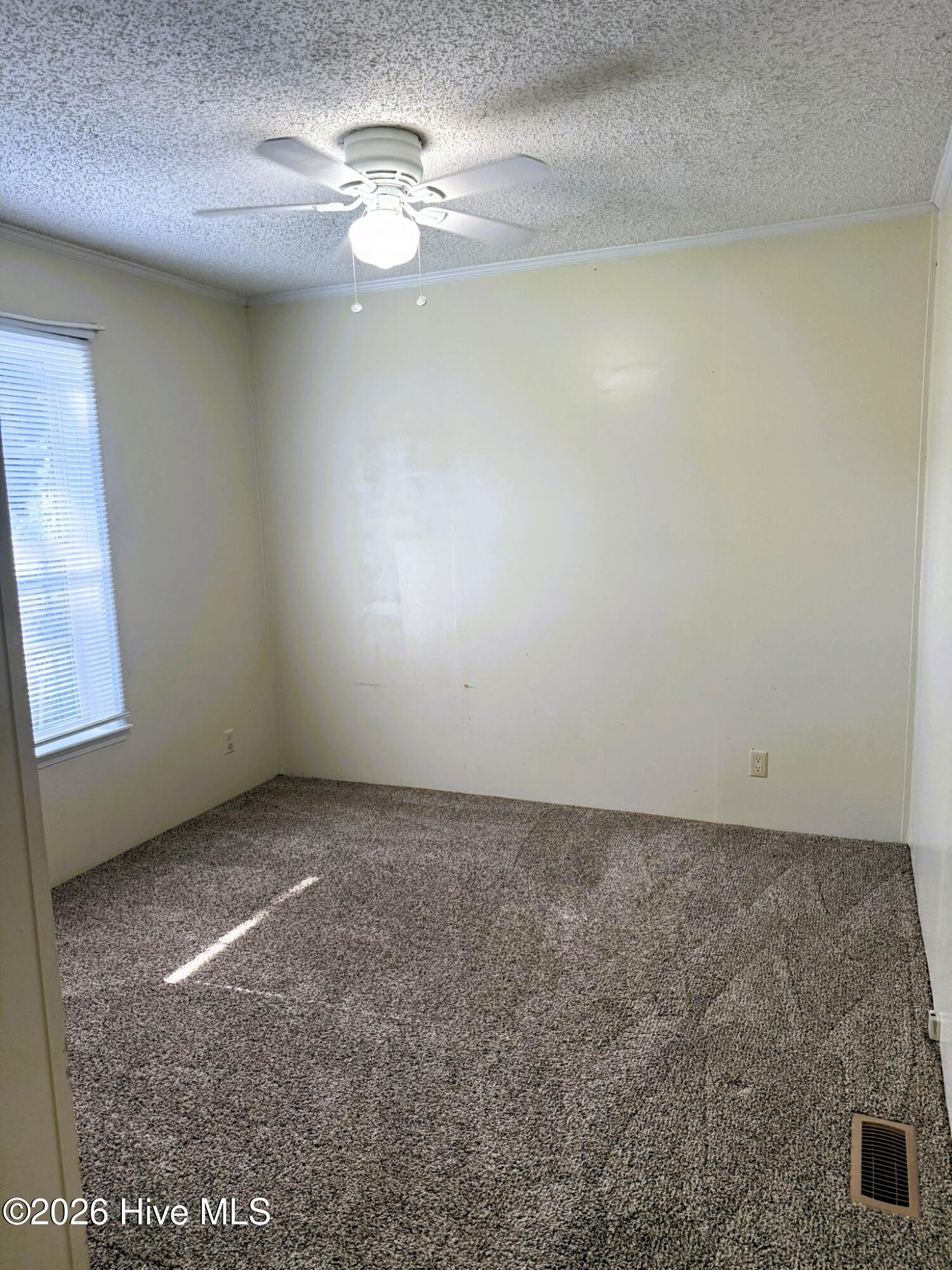121 Darden Street Property Photo 23