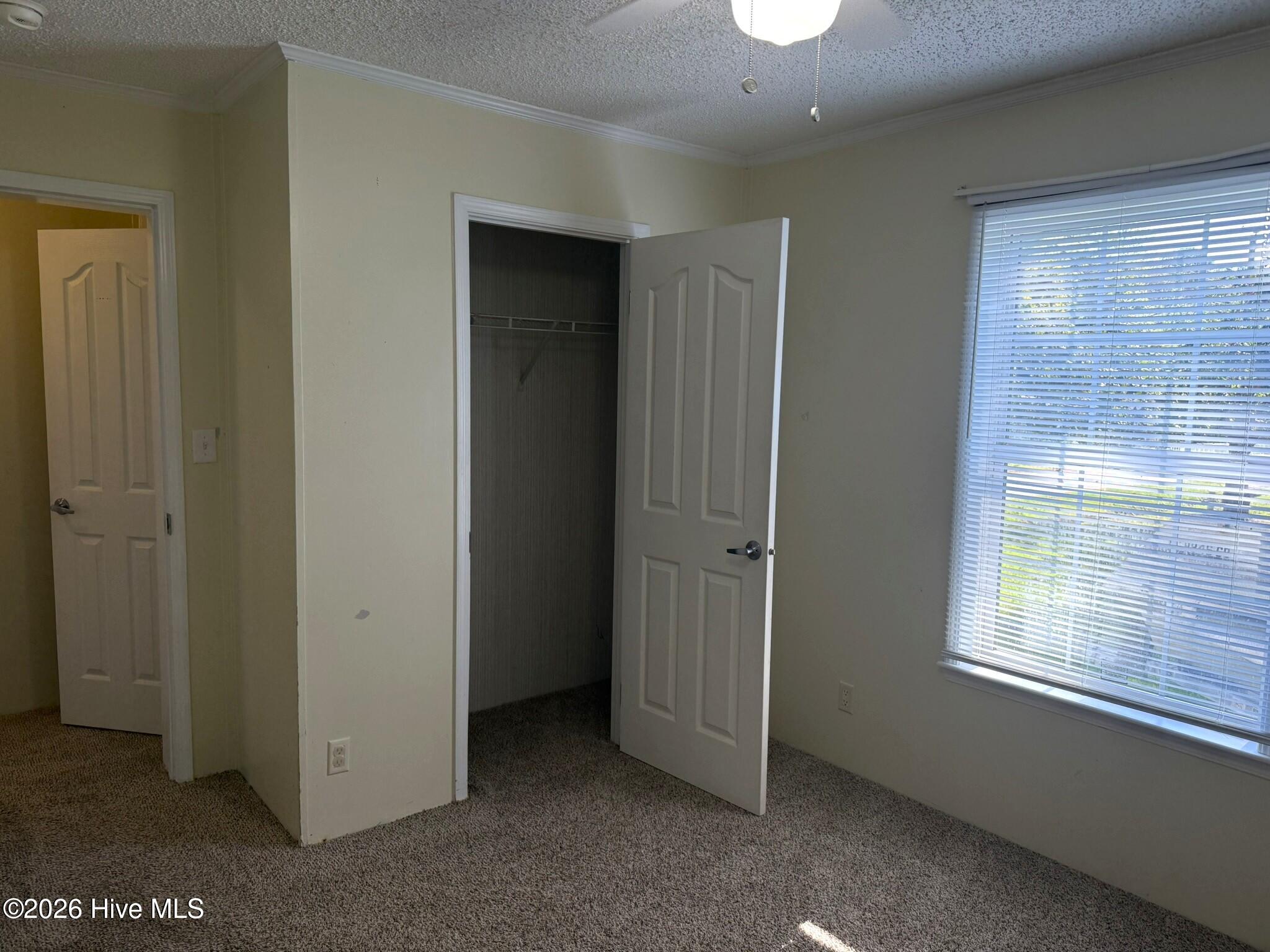 121 Darden Street Property Photo 24