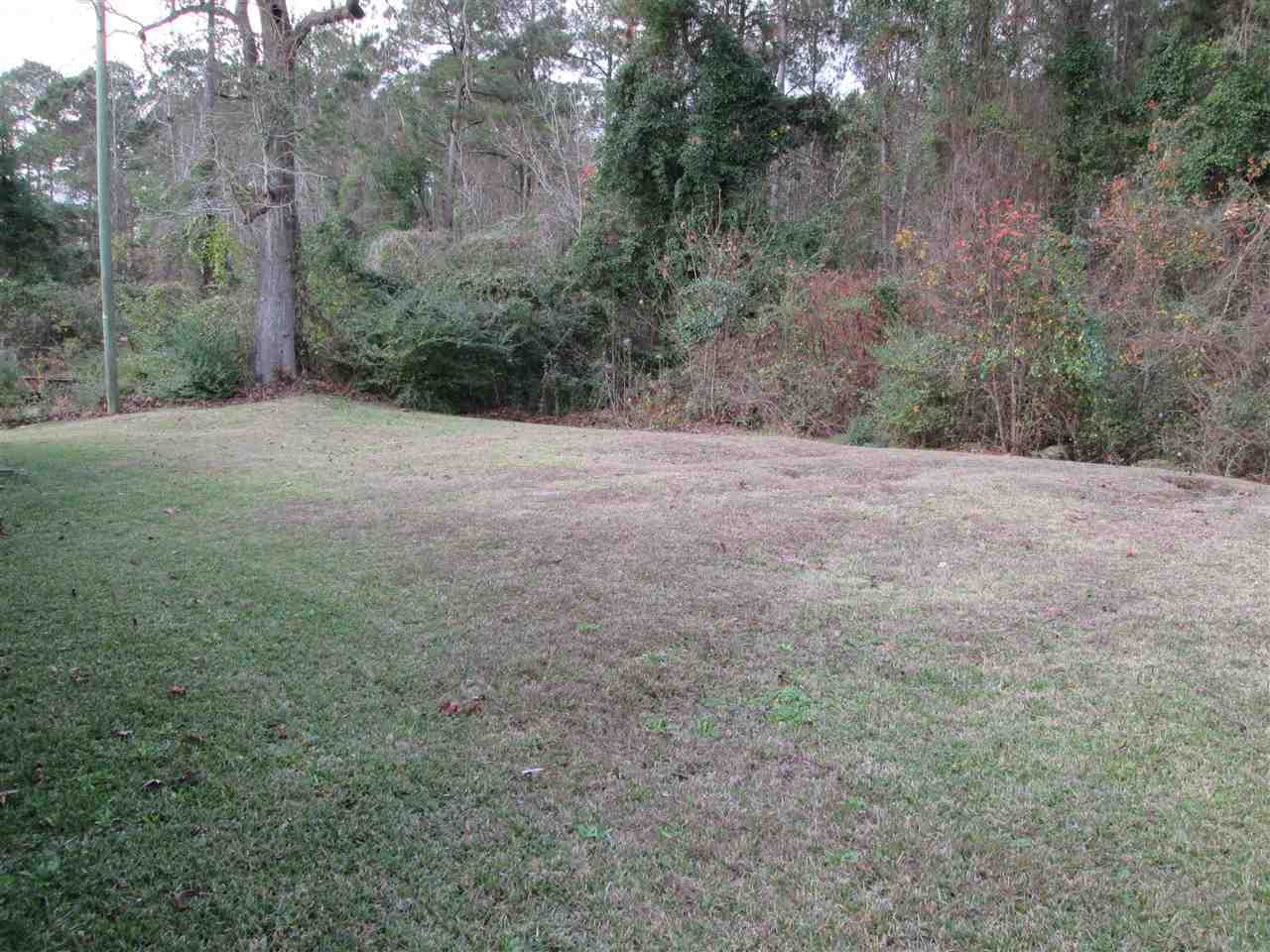 121 Darden Street Property Photo 29