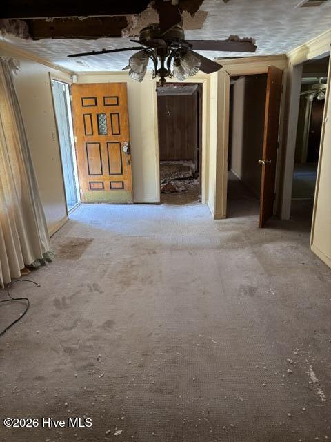 293 Sunshine Road Property Photo 6