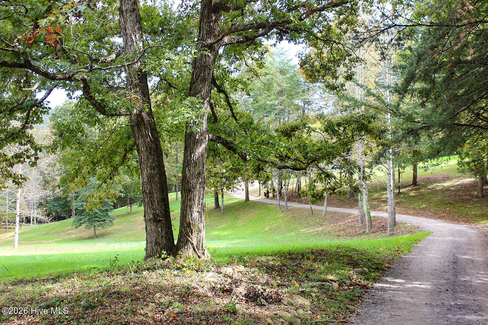 121 Wolfcreek Road Property Photo 4