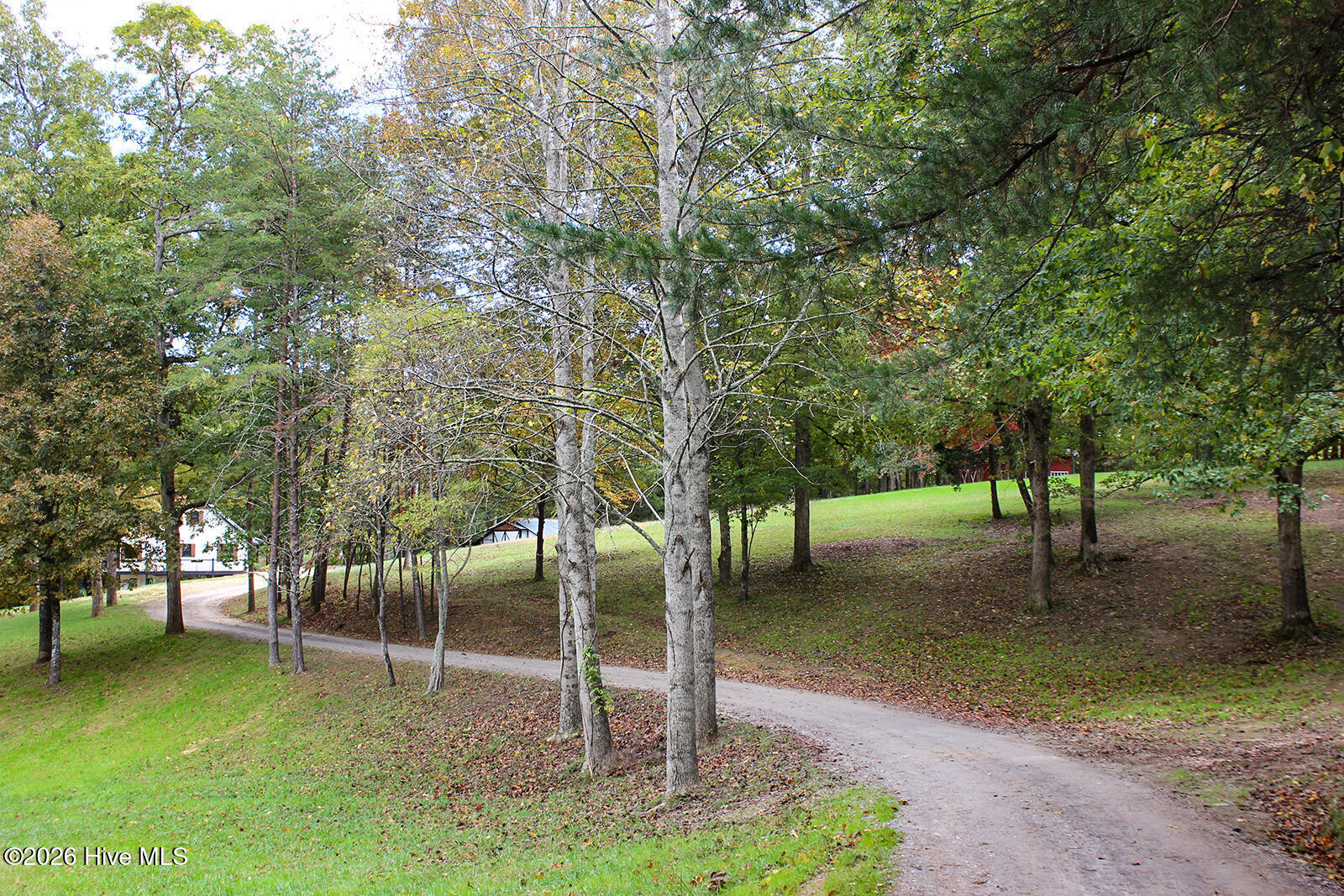121 Wolfcreek Road Property Photo 5