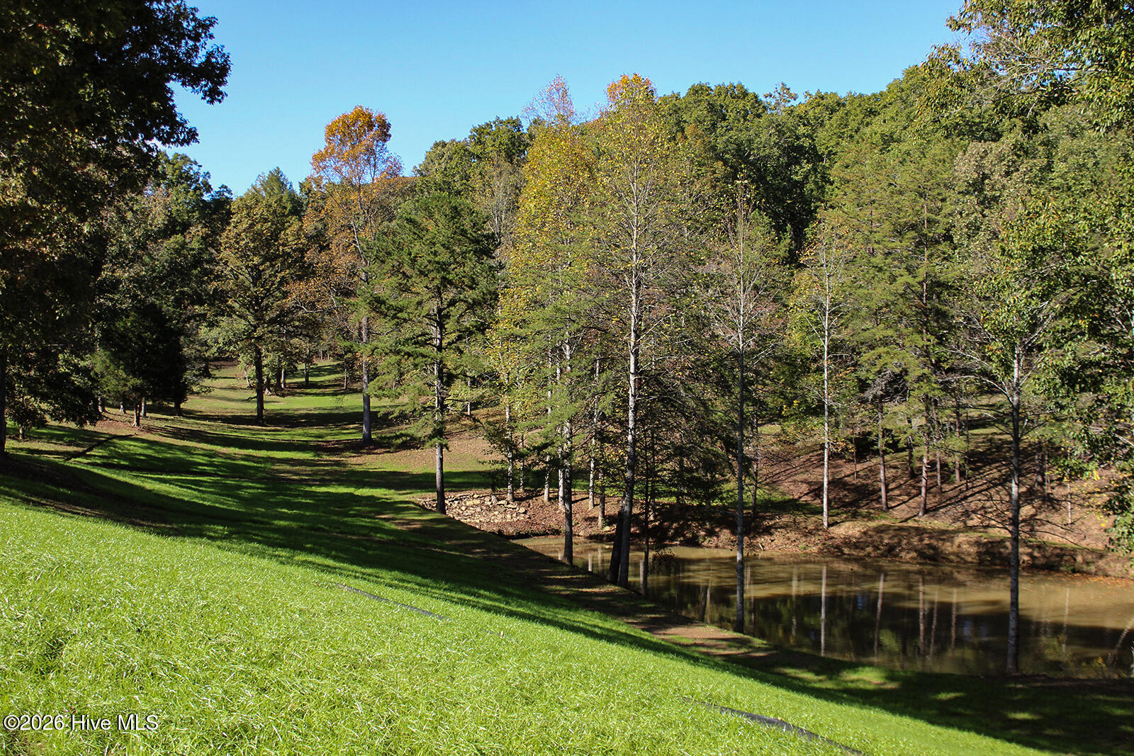 121 Wolfcreek Road Property Photo 62
