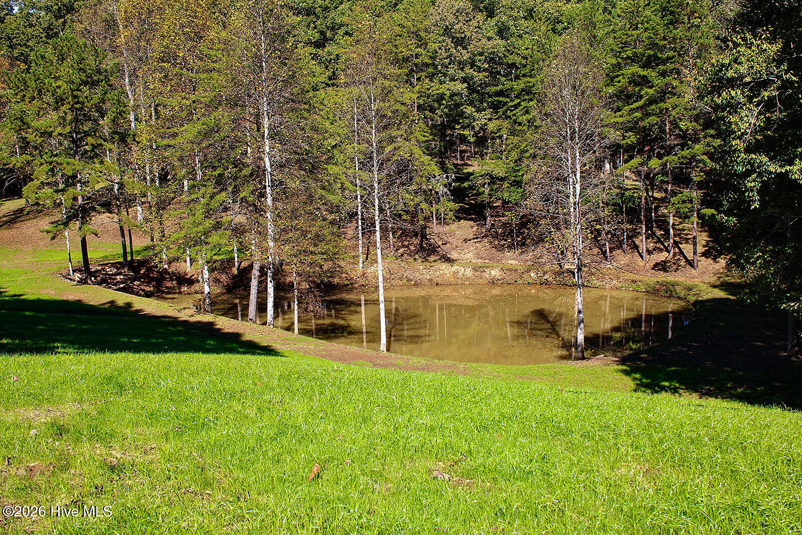 121 Wolfcreek Road Property Photo 63