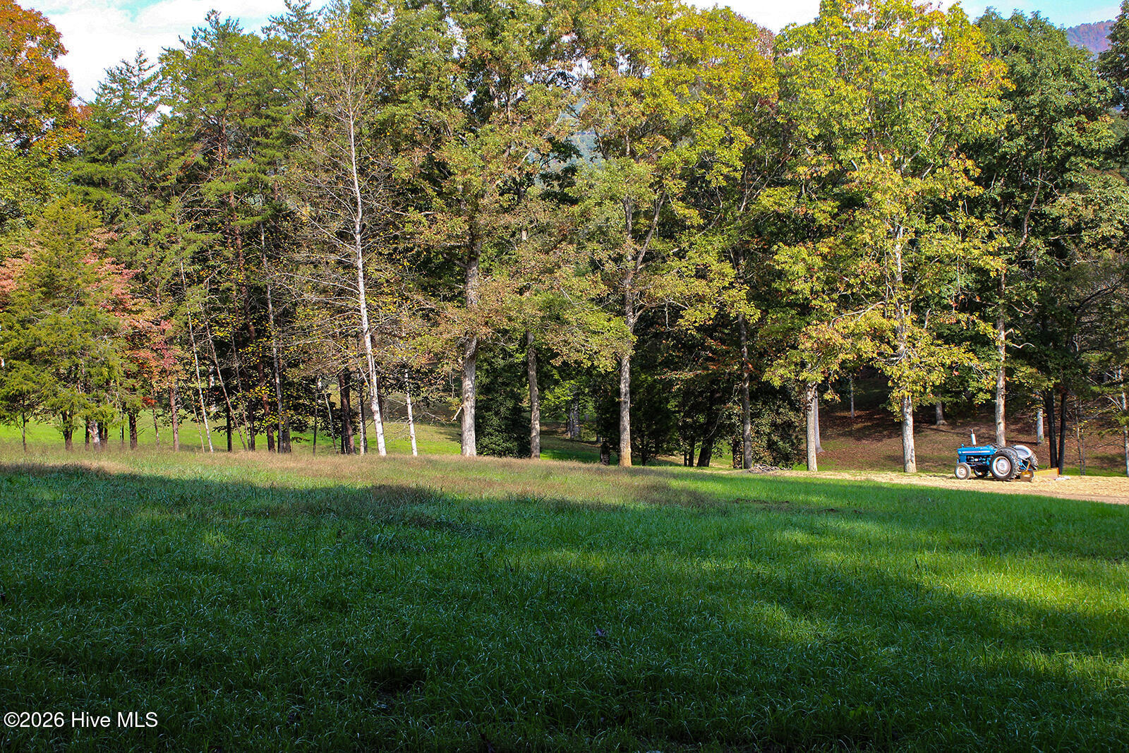 121 Wolfcreek Road Property Photo 64
