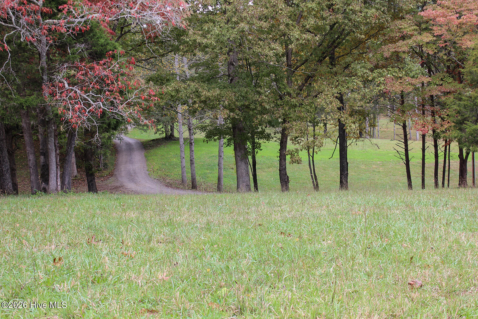121 Wolfcreek Road Property Photo 65