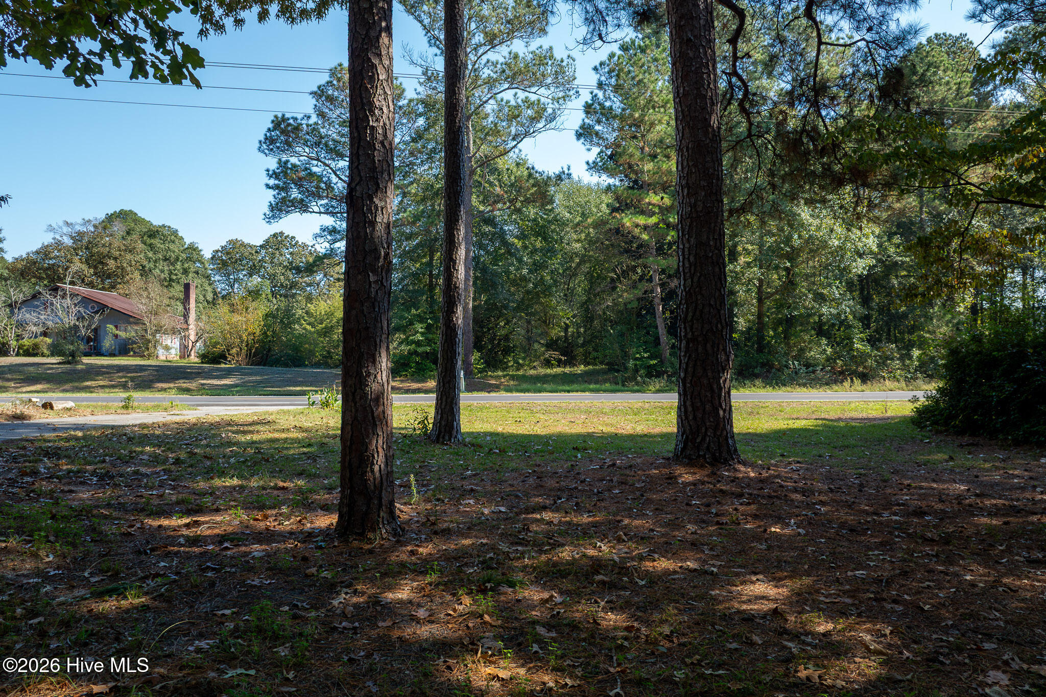 245 Tracy Brown Road Property Photo 32