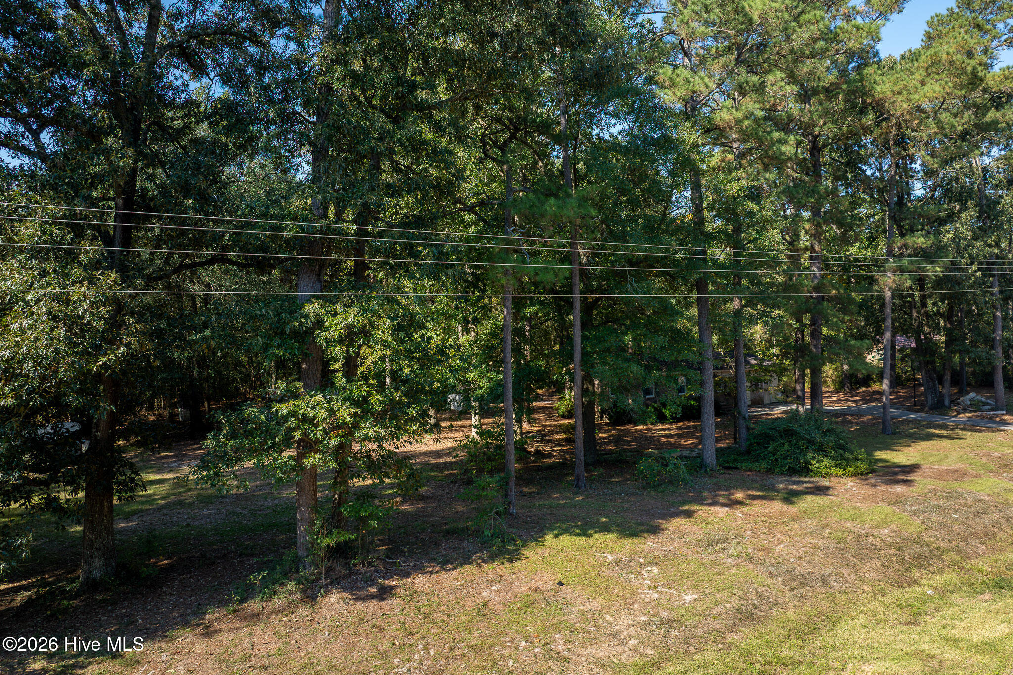 245 Tracy Brown Road Property Photo 33