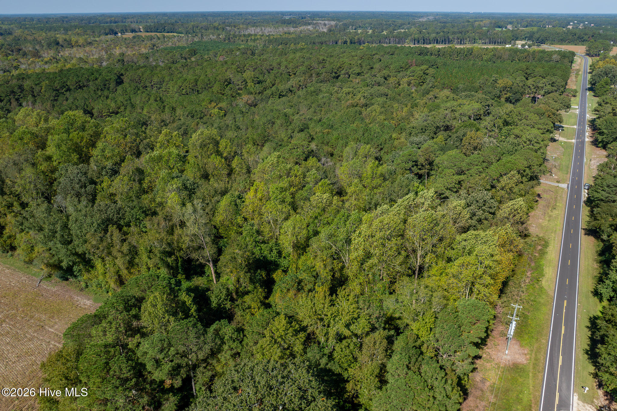 245 Tracy Brown Road Property Photo 40