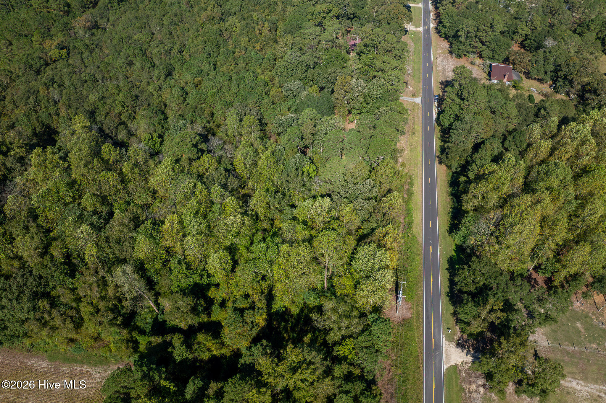 245 Tracy Brown Road Property Photo 41