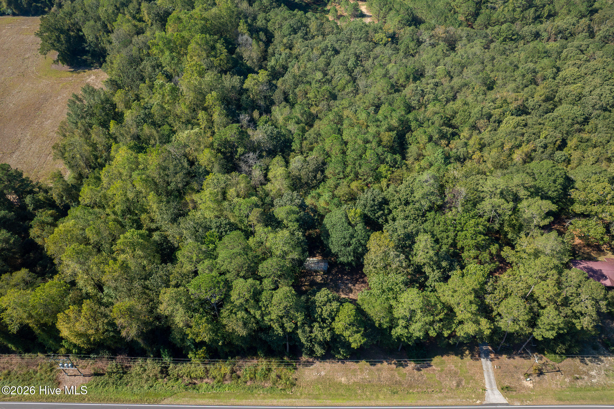 245 Tracy Brown Road Property Photo 45