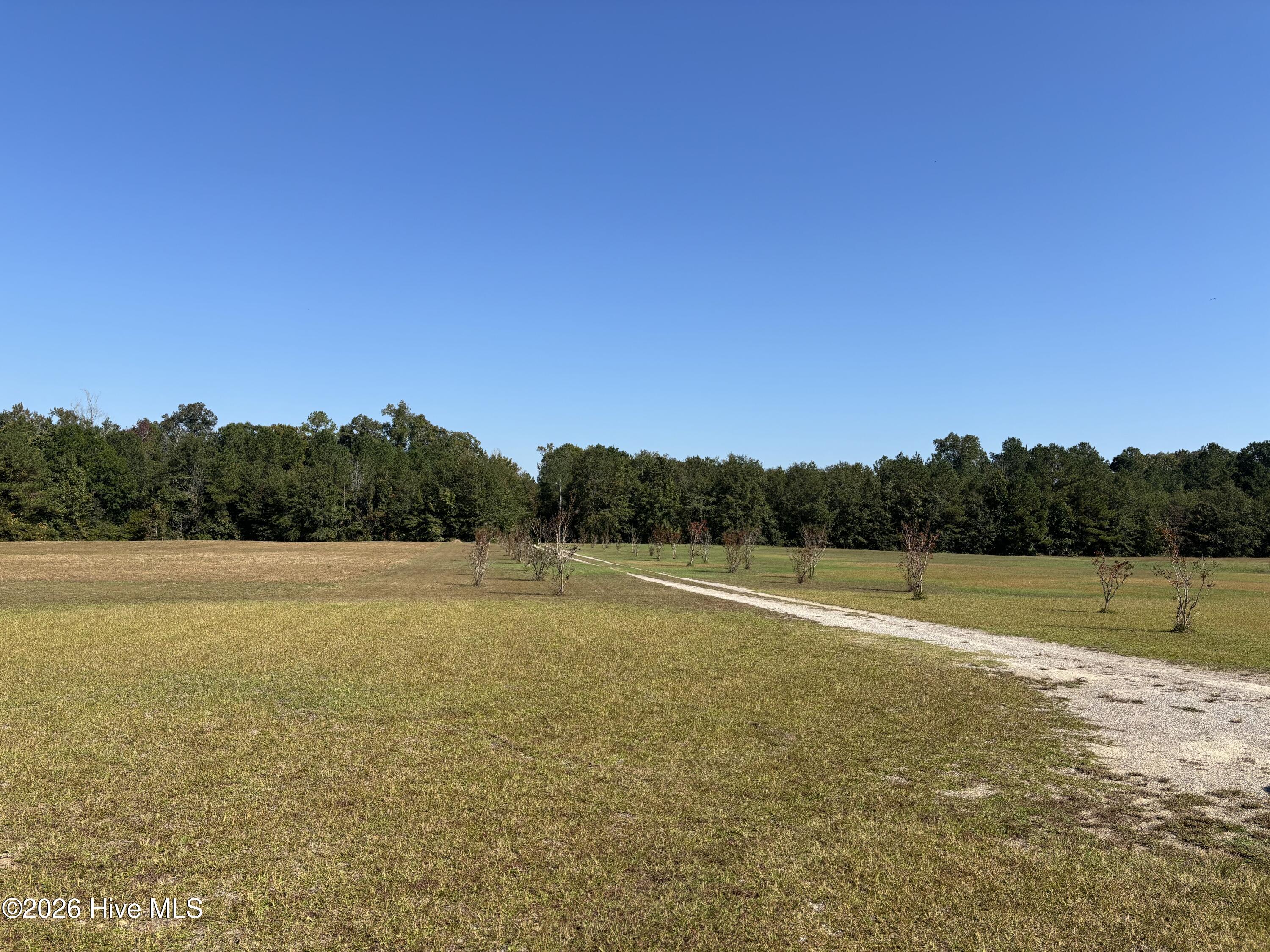 593 La Wane Lane Property Photo 18