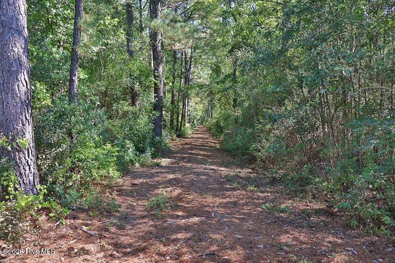 0 Angola Bay Road Property Photo 3
