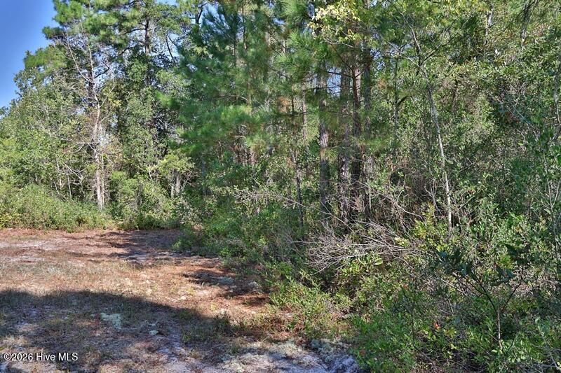 0 Angola Bay Road Property Photo 5