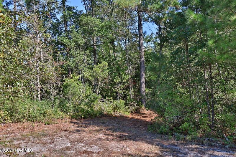 0 Angola Bay Road Property Photo 7