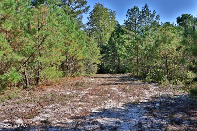 0 Angola Bay Road Property Photo 9
