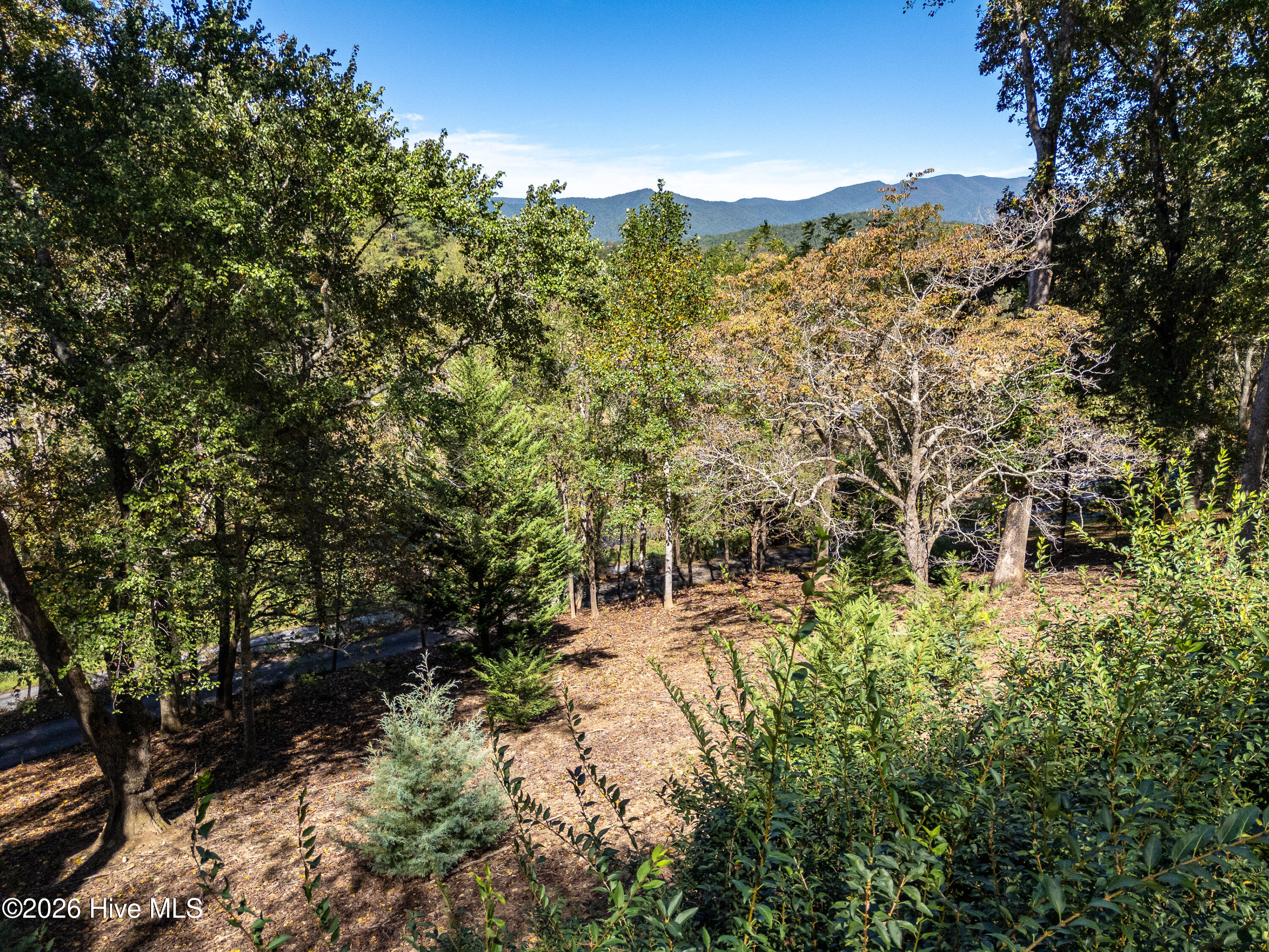 201 Primrose Lane Property Photo 45