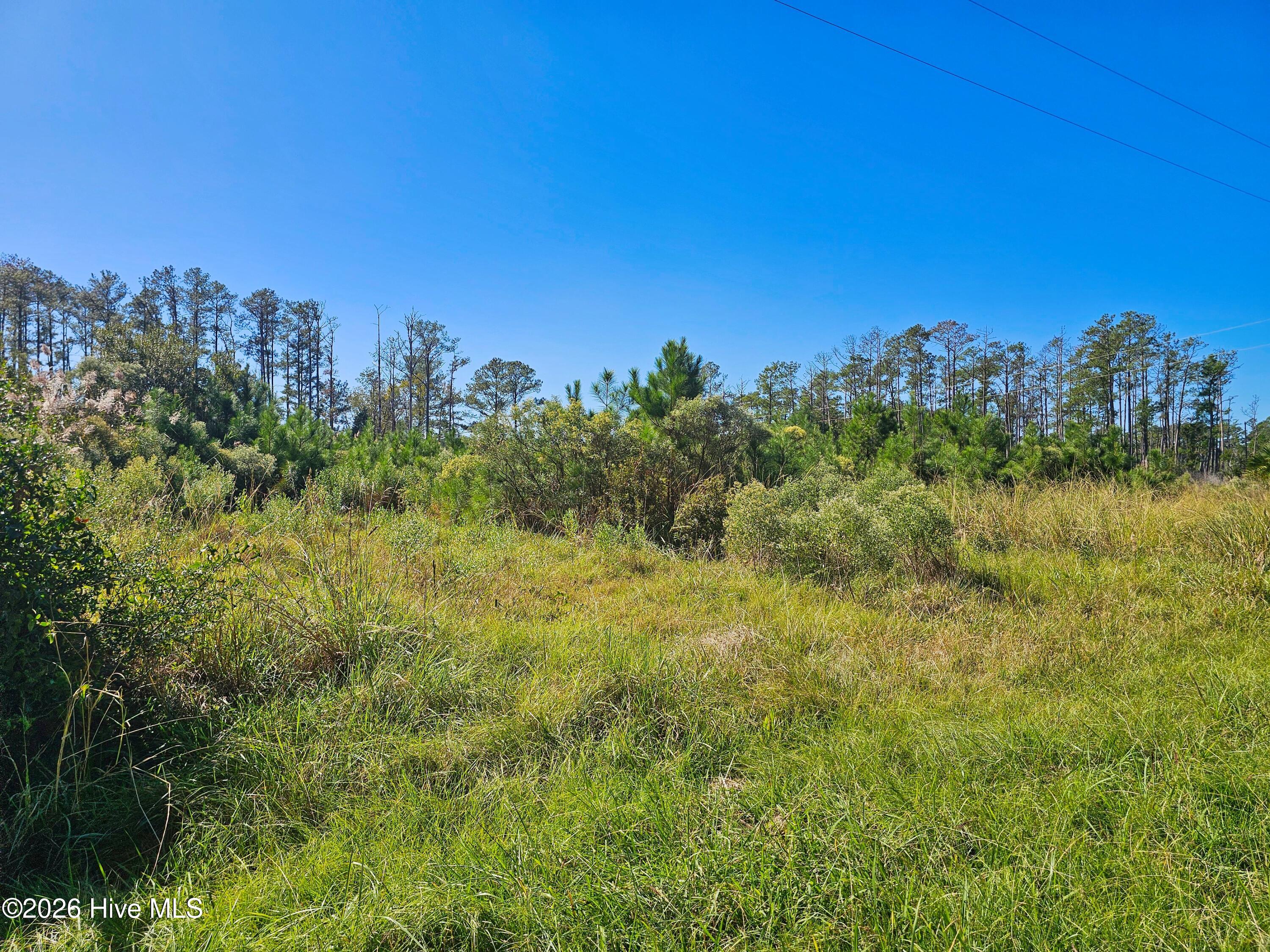1778 Wilkins Road Property Photo 4